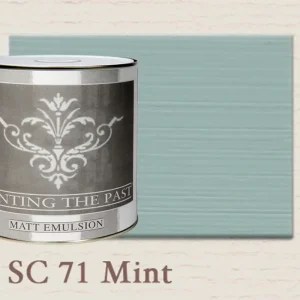 Painting The Past Matt Emulsion Mint SC71 Laatste Versie